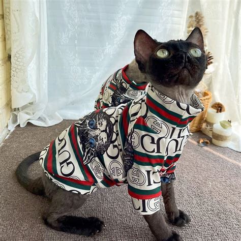 gucci cat polo shirt|cat wearing gucci.